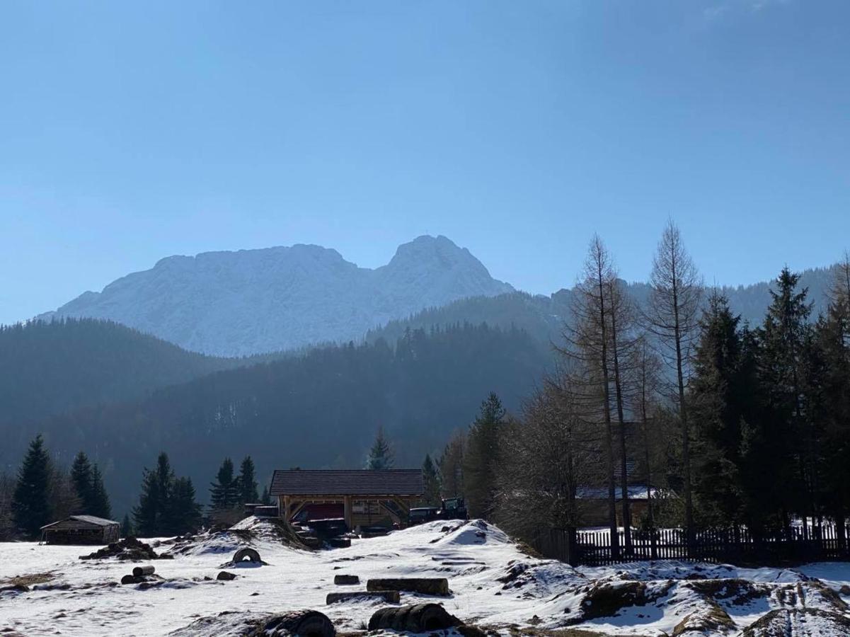 Apartament Mysliwski Zakopane Eksteriør bilde