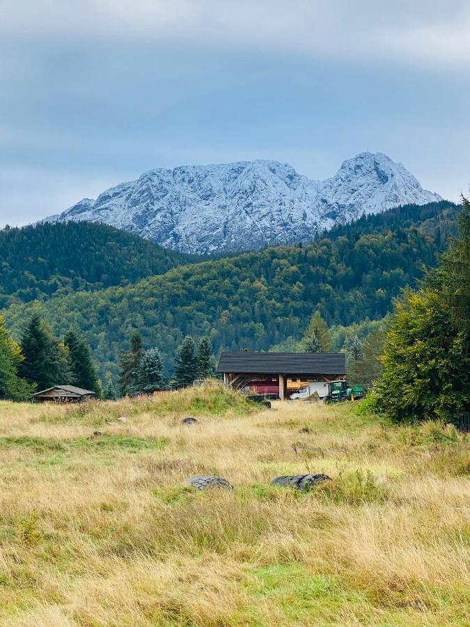 Apartament Mysliwski Zakopane Eksteriør bilde